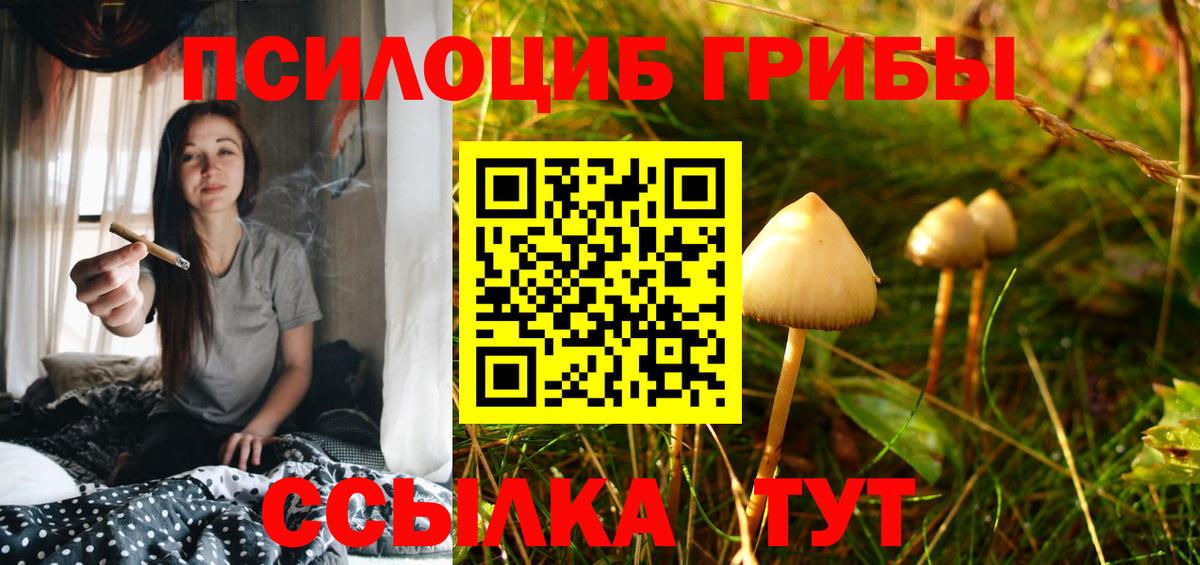 что такое наркотик  Вход с VPN  Лесосибирск  Псилоцибиновые грибы прущие грибы  Галлюциногенные грибы мухоморы 