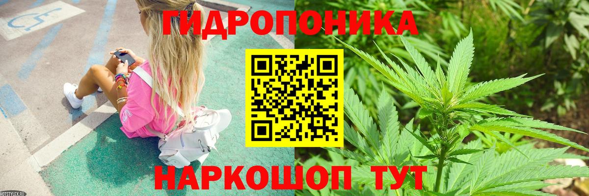 Конопля MAZAR Лесосибирск